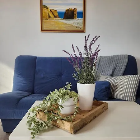 Seaspray Apartment
